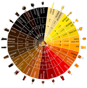 Beer Style Guide