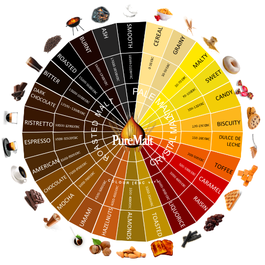 Malt Flavour Content Thumbnail