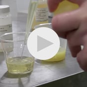 Pilot Plant Small Batch Production Content Thumbnail