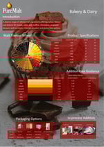 Application Sheet Thumbnail - BD 2026