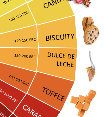 Cara Malt Flavours.png