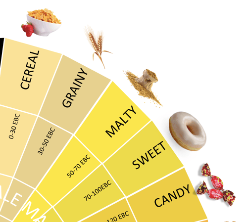 Pale Malt Flavours.png
