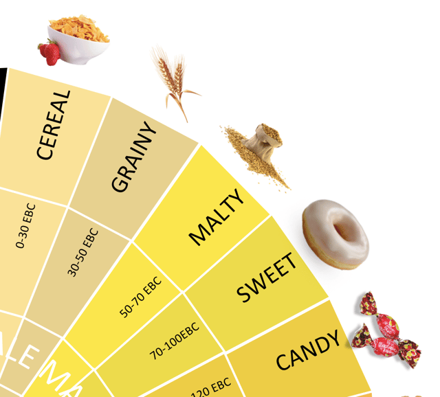 Pale Malt Flavours.png