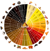 PureMalt Flavour Wheel