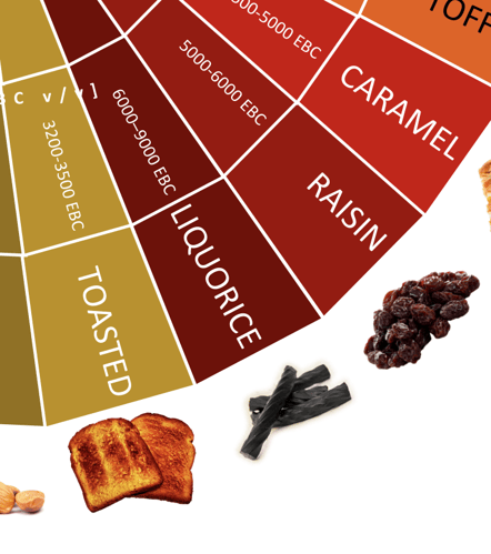 RexRuby Flavours.png