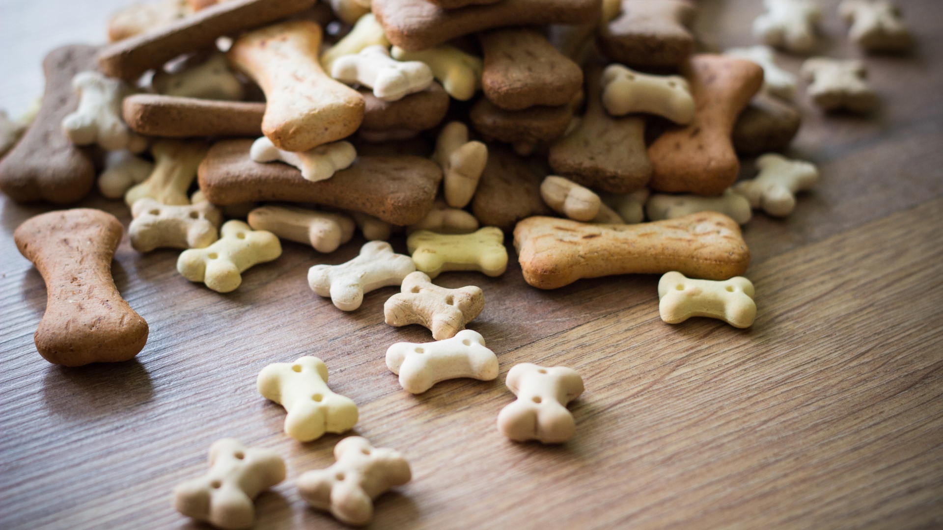 Pet Treats - rendered.jpg