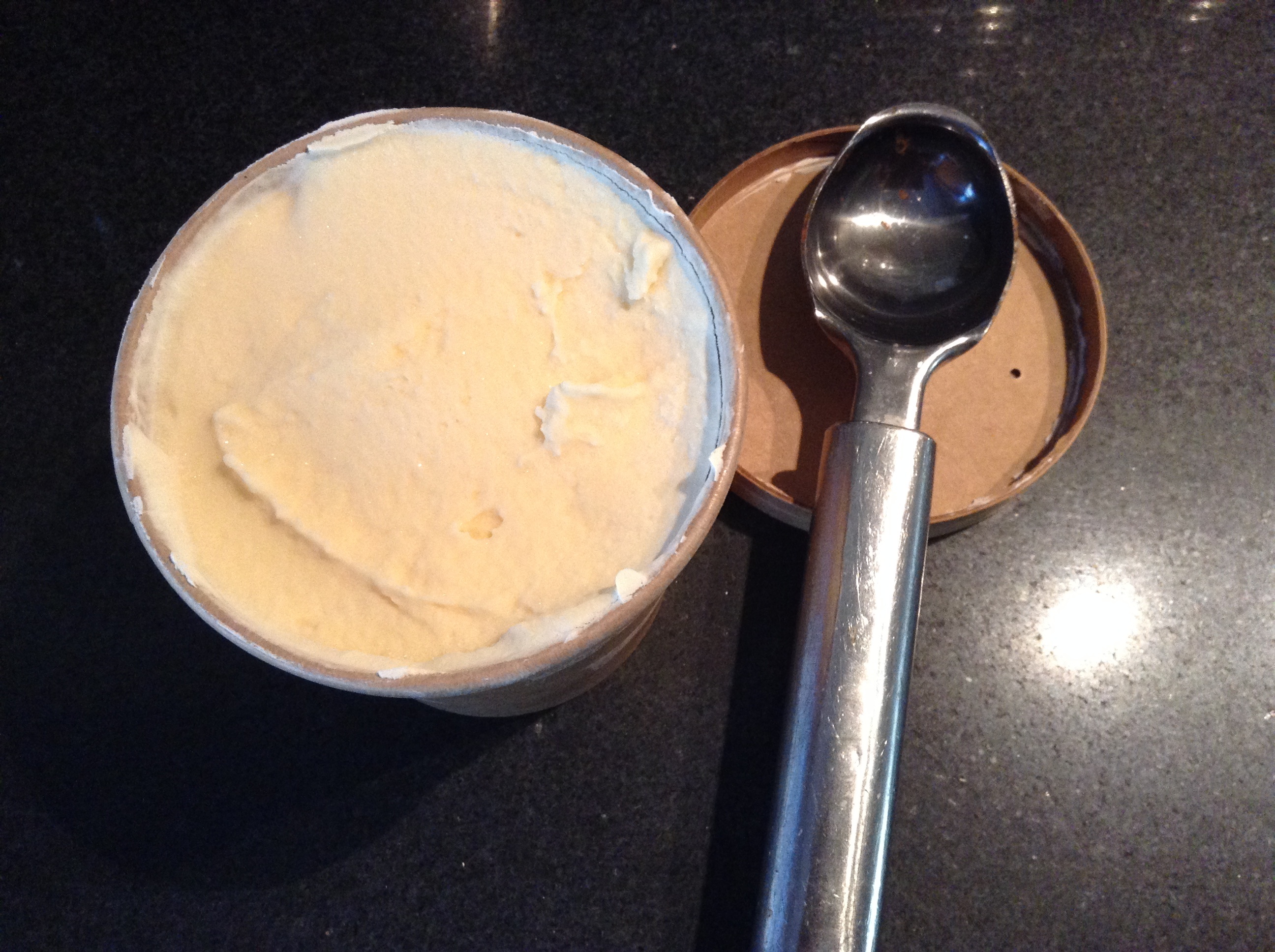 Vanilla Malt Ice Cream.